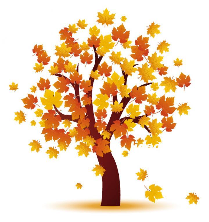 Картинки Осенние листья детям